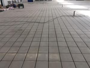 河南栗子園食品2